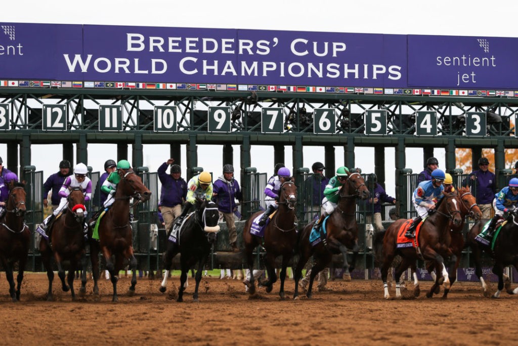 Breeder's Cup