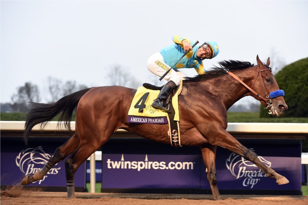 American-Pharoah