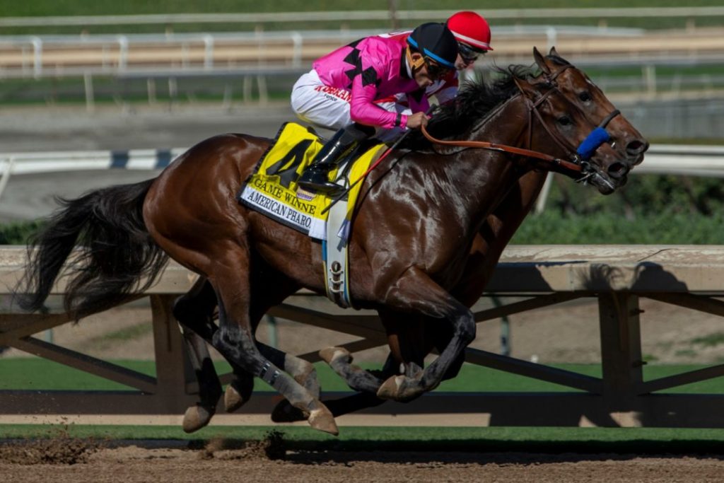 Game Winner reappears in the Alamitos Derby