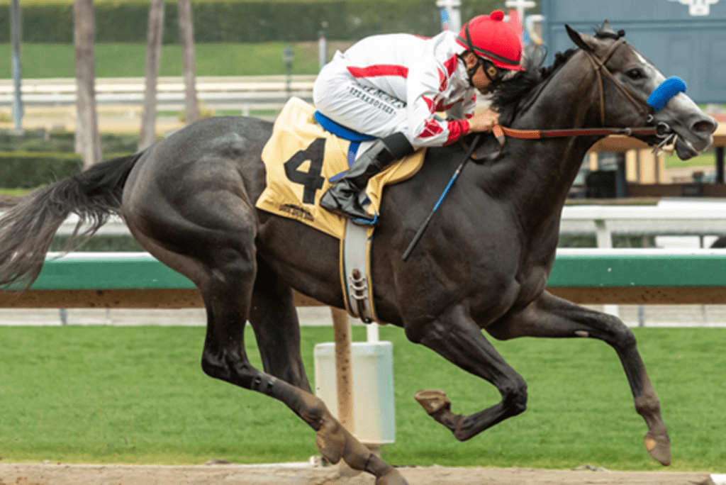 Baffert triumphs in the north and south